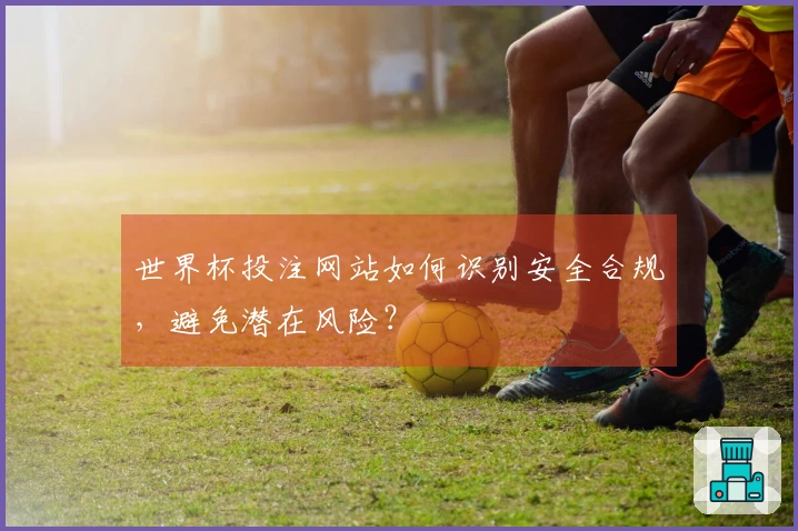 世界杯投注网站如何识别安全合规，避免潜在风险？