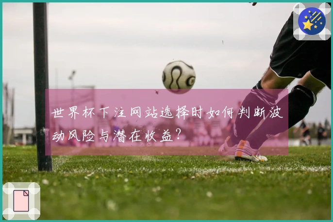 世界杯下注网站选择时如何判断波动风险与潜在收益？