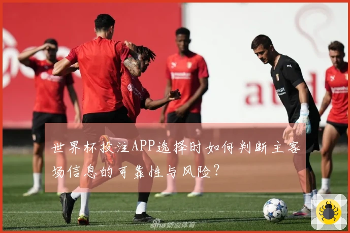 世界杯投注APP选择时如何判断主客场信息的可靠性与风险？