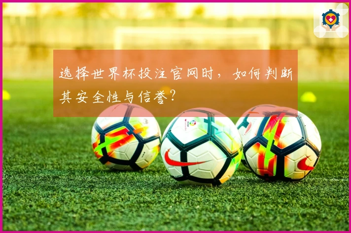 选择世界杯投注官网时，如何判断其安全性与信誉？