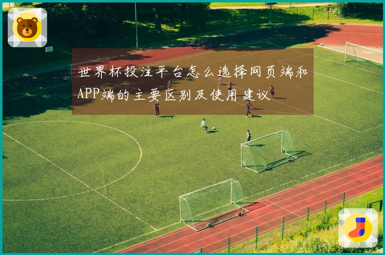 世界杯投注平台怎么选择网页端和APP端的主要区别及使用建议