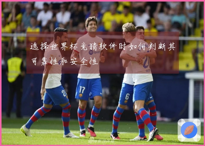 选择世界杯竞猜软件时如何判断其可靠性和安全性