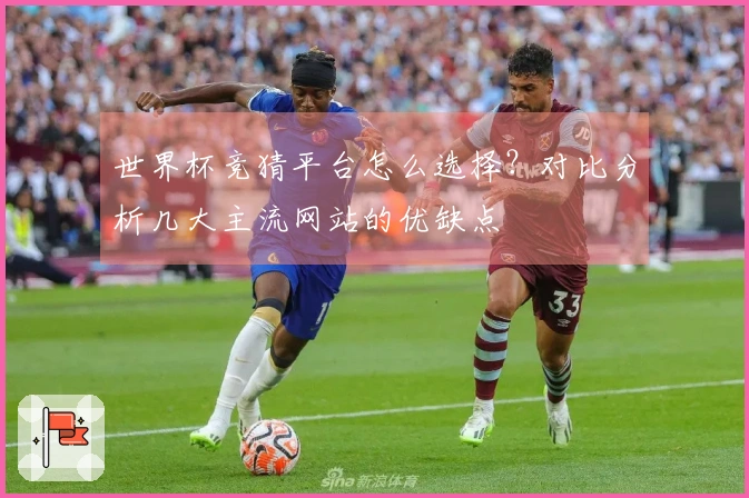 世界杯竞猜平台怎么选择？对比分析几大主流网站的优缺点