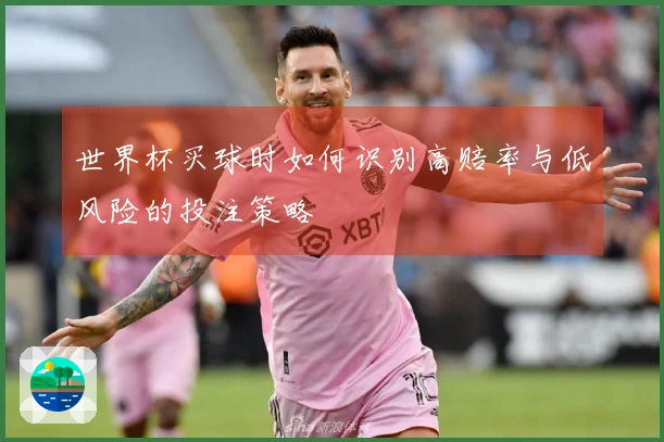 世界杯买球时如何识别高赔率与低风险的投注策略