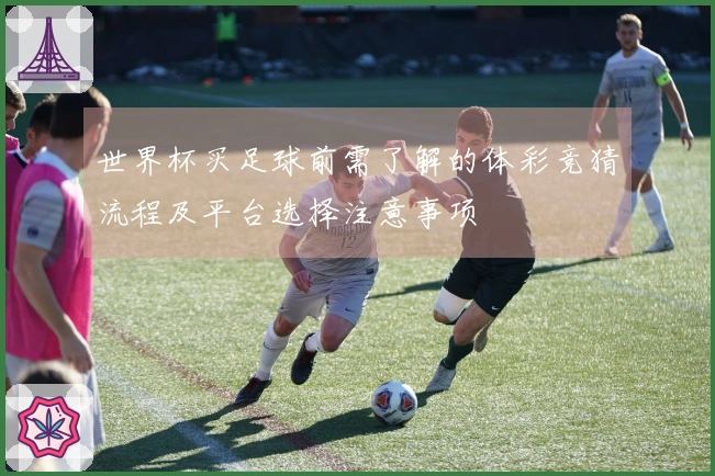 世界杯买足球前需了解的体彩竞猜流程及平台选择注意事项