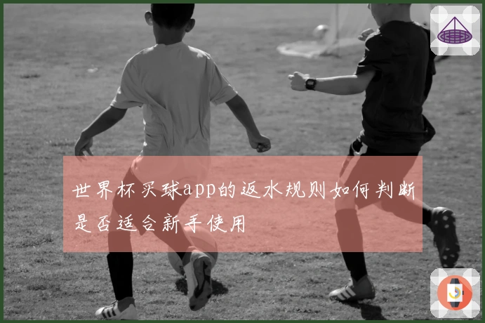 世界杯买球app的返水规则如何判断是否适合新手使用