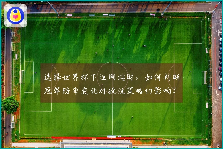 选择世界杯下注网站时，如何判断冠军赔率变化对投注策略的影响？