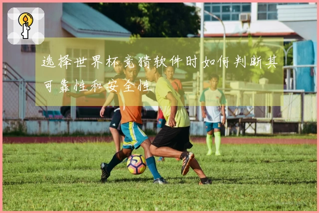 选择世界杯竞猜软件时如何判断其可靠性和安全性