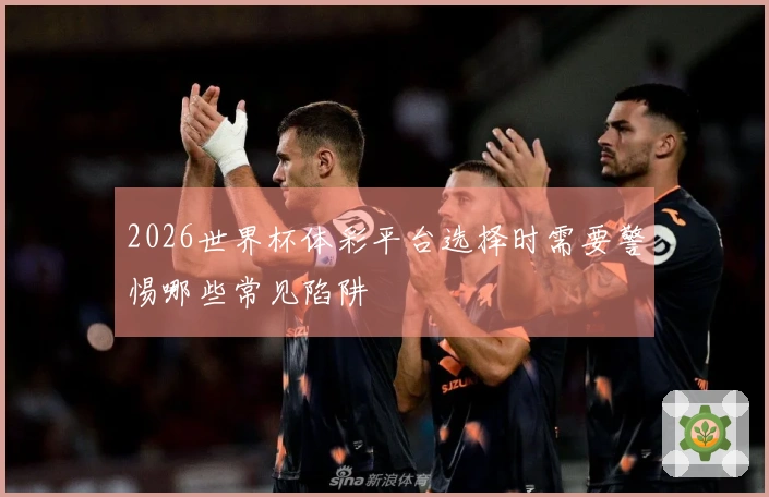 2026世界杯体彩平台选择时需要警惕哪些常见陷阱