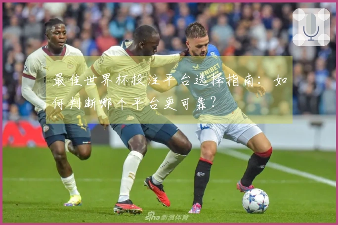 最佳世界杯投注平台选择指南：如何判断哪个平台更可靠？