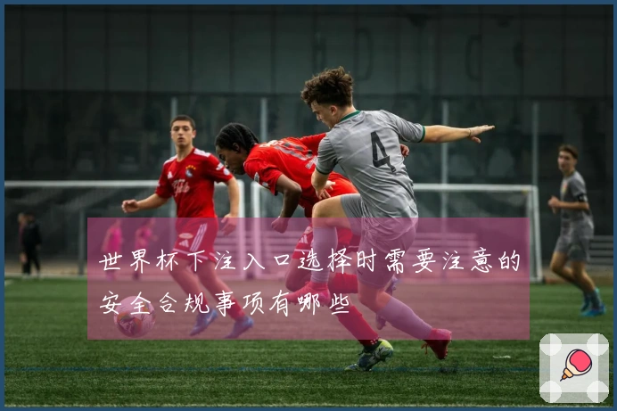 世界杯下注入口选择时需要注意的安全合规事项有哪些
