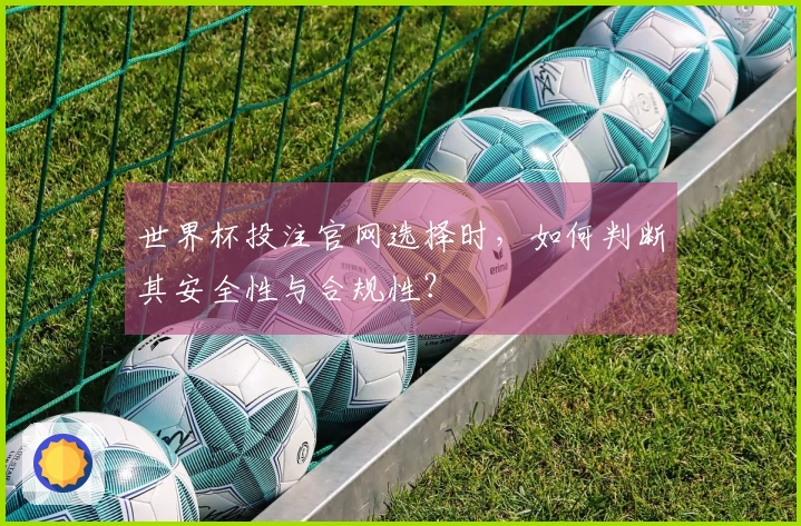 世界杯投注官网选择时，如何判断其安全性与合规性？