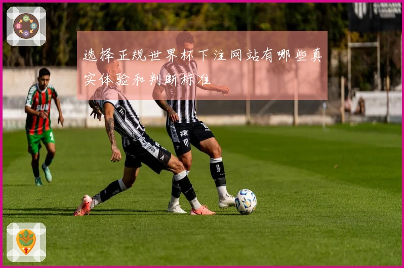 选择正规世界杯下注网站有哪些真实体验和判断标准