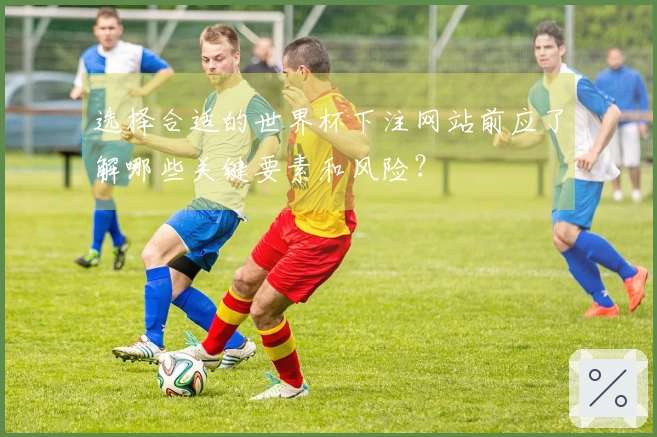 选择合适的世界杯下注网站前应了解哪些关键要素和风险？