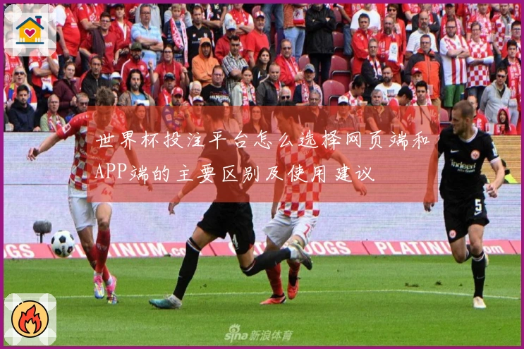 世界杯投注平台怎么选择网页端和APP端的主要区别及使用建议