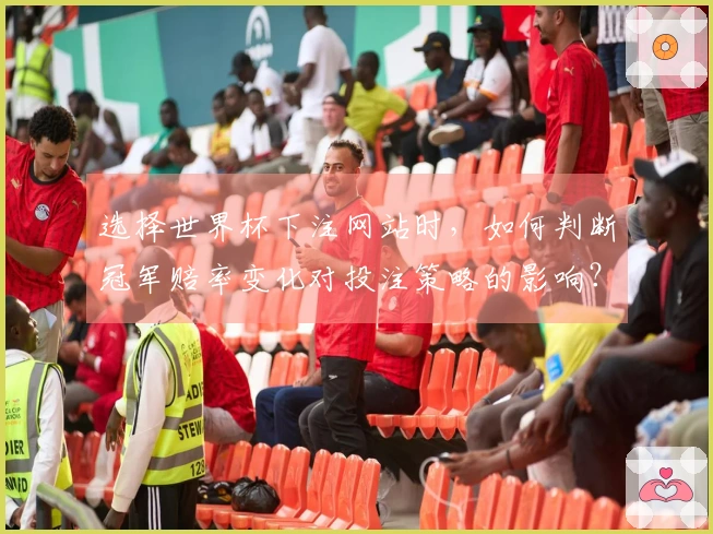 选择世界杯下注网站时，如何判断冠军赔率变化对投注策略的影响？