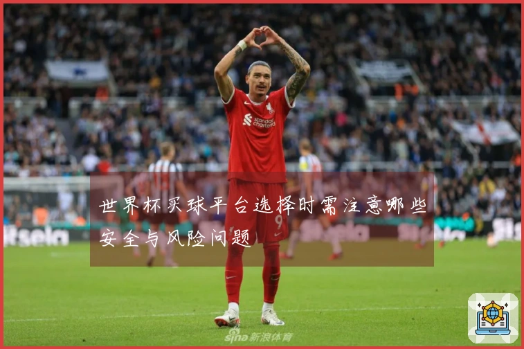 世界杯买球平台选择时需注意哪些安全与风险问题