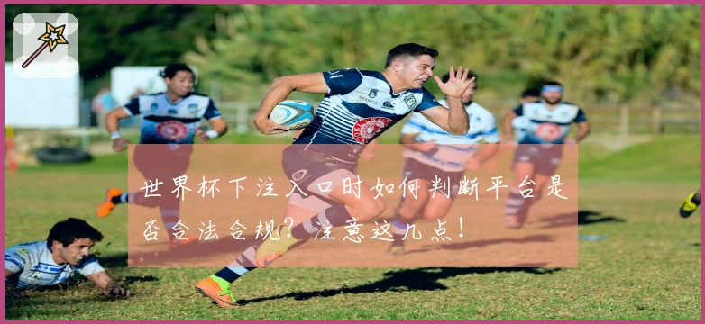 世界杯下注入口时如何判断平台是否合法合规？注意这几点！