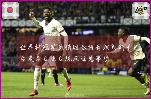 世界杯冠军竞猜时如何有效判断平台是否合法合规及注意事项