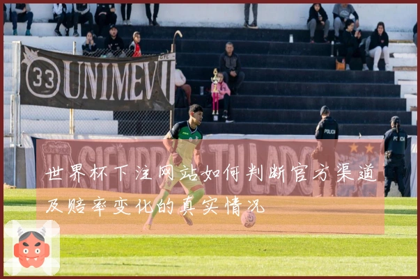 世界杯下注网站如何判断官方渠道及赔率变化的真实情况