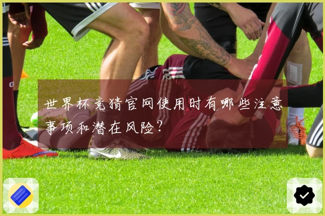 世界杯竞猜官网使用时有哪些注意事项和潜在风险？