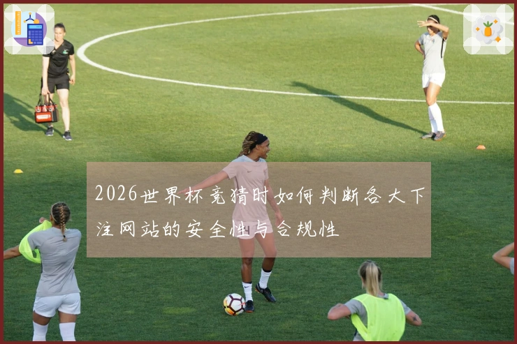 2026世界杯竞猜时如何判断各大下注网站的安全性与合规性