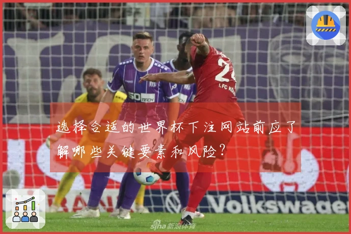 选择合适的世界杯下注网站前应了解哪些关键要素和风险？