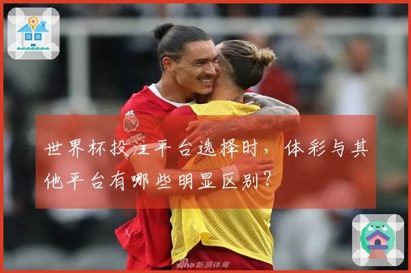 世界杯投注平台选择时，体彩与其他平台有哪些明显区别？