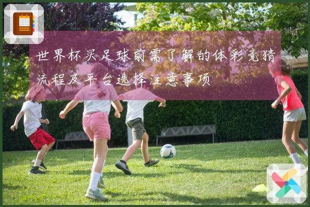 世界杯买足球前需了解的体彩竞猜流程及平台选择注意事项