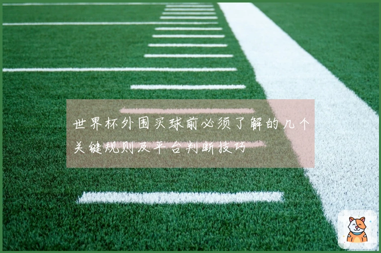 世界杯外围买球前必须了解的几个关键规则及平台判断技巧