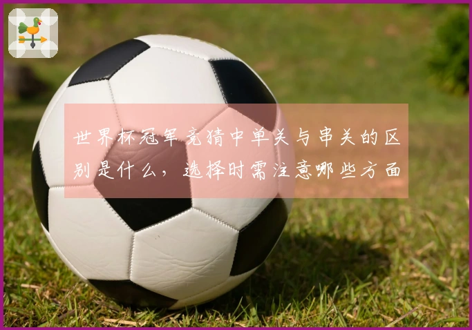 世界杯冠军竞猜中单关与串关的区别是什么，选择时需注意哪些方面？