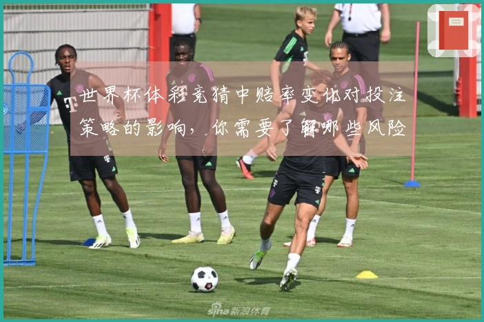 世界杯体彩竞猜中赔率变化对投注策略的影响，你需要了解哪些风险提示？