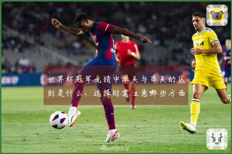 世界杯冠军竞猜中单关与串关的区别是什么，选择时需注意哪些方面？