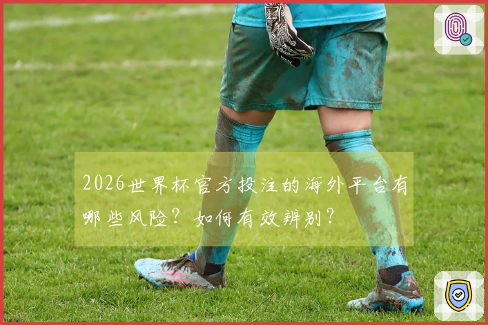 2026世界杯官方投注的海外平台有哪些风险？如何有效辨别？