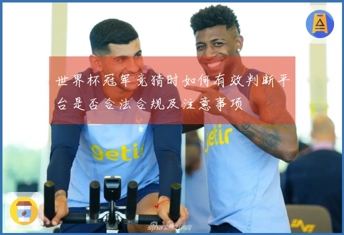 世界杯冠军竞猜时如何有效判断平台是否合法合规及注意事项