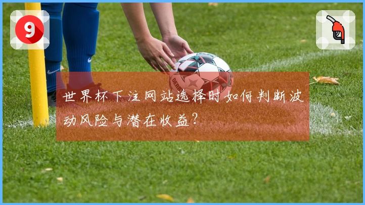 世界杯下注网站选择时如何判断波动风险与潜在收益？
